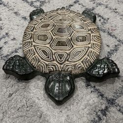 Turtle Stepping Stone