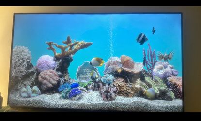 65” TCL TV