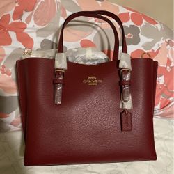 Coach Purse/bag