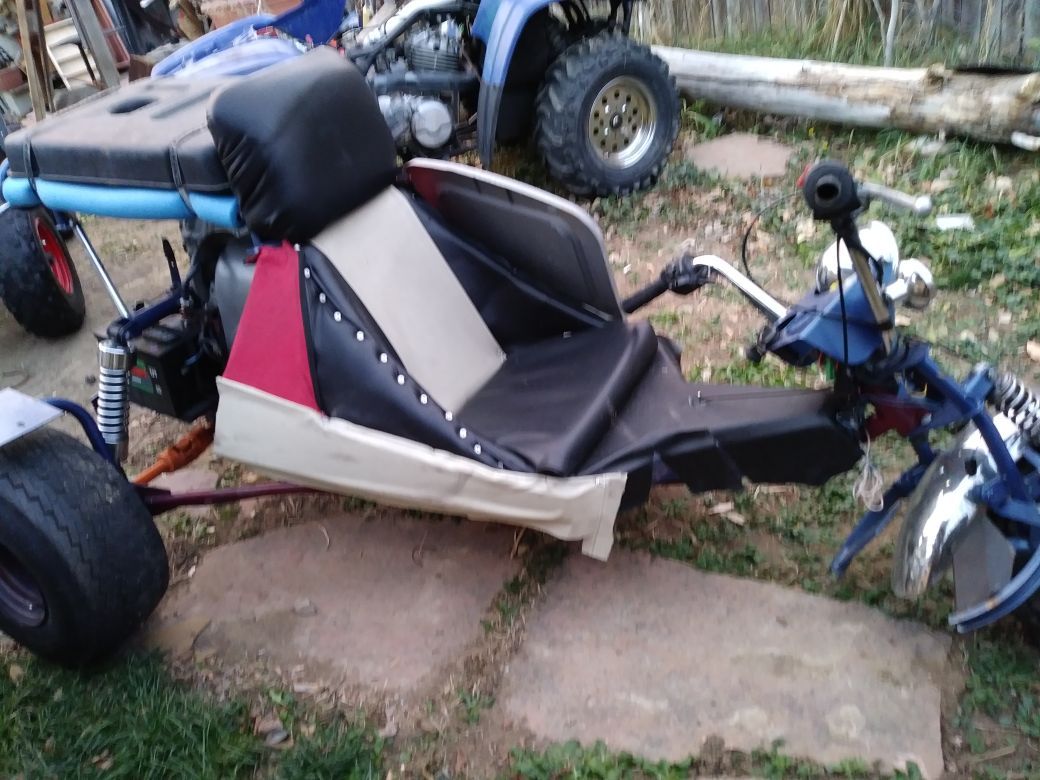 1974 All Sport Tri sport trike