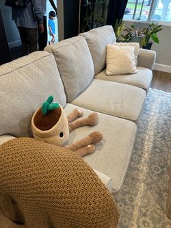 Pottery barns sofa