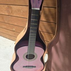 Guitar And Case