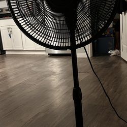 Fan For Sale