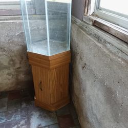 Pretty Nice Fish Tank For. 