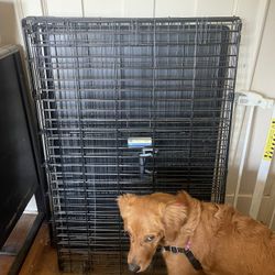 Large Dog Crate Plus Matching X Pen