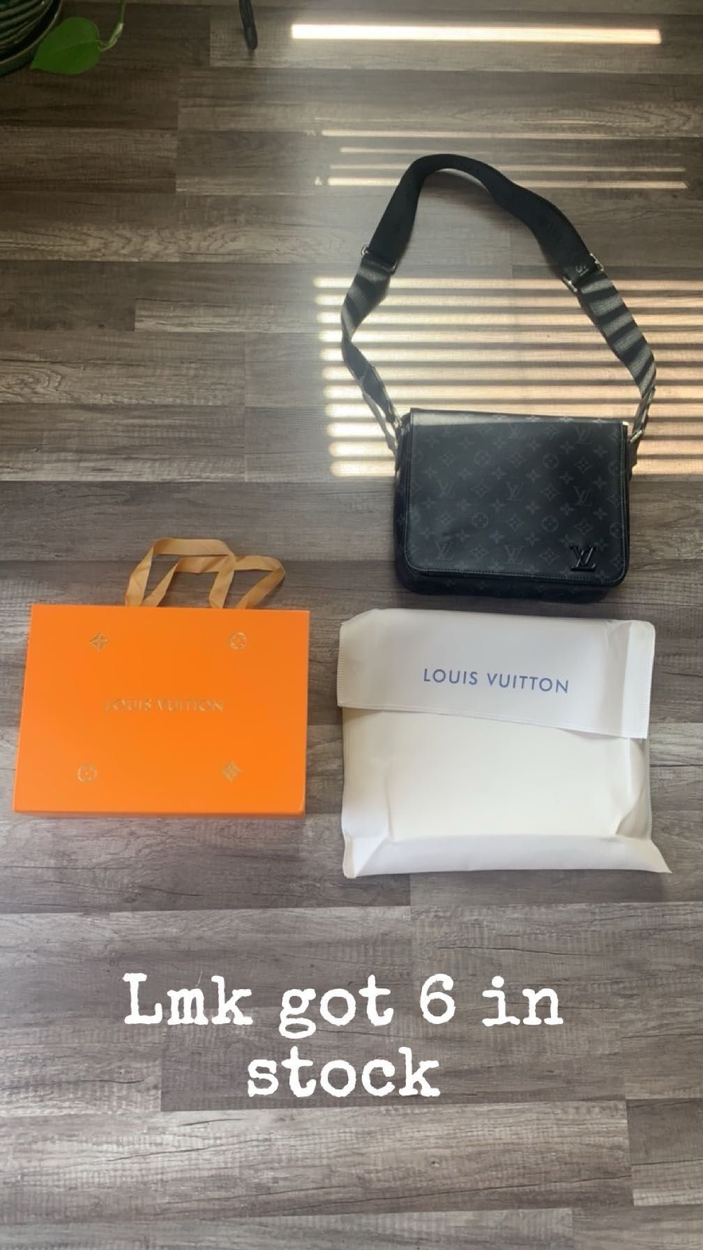 Louis Vuitton Bag 