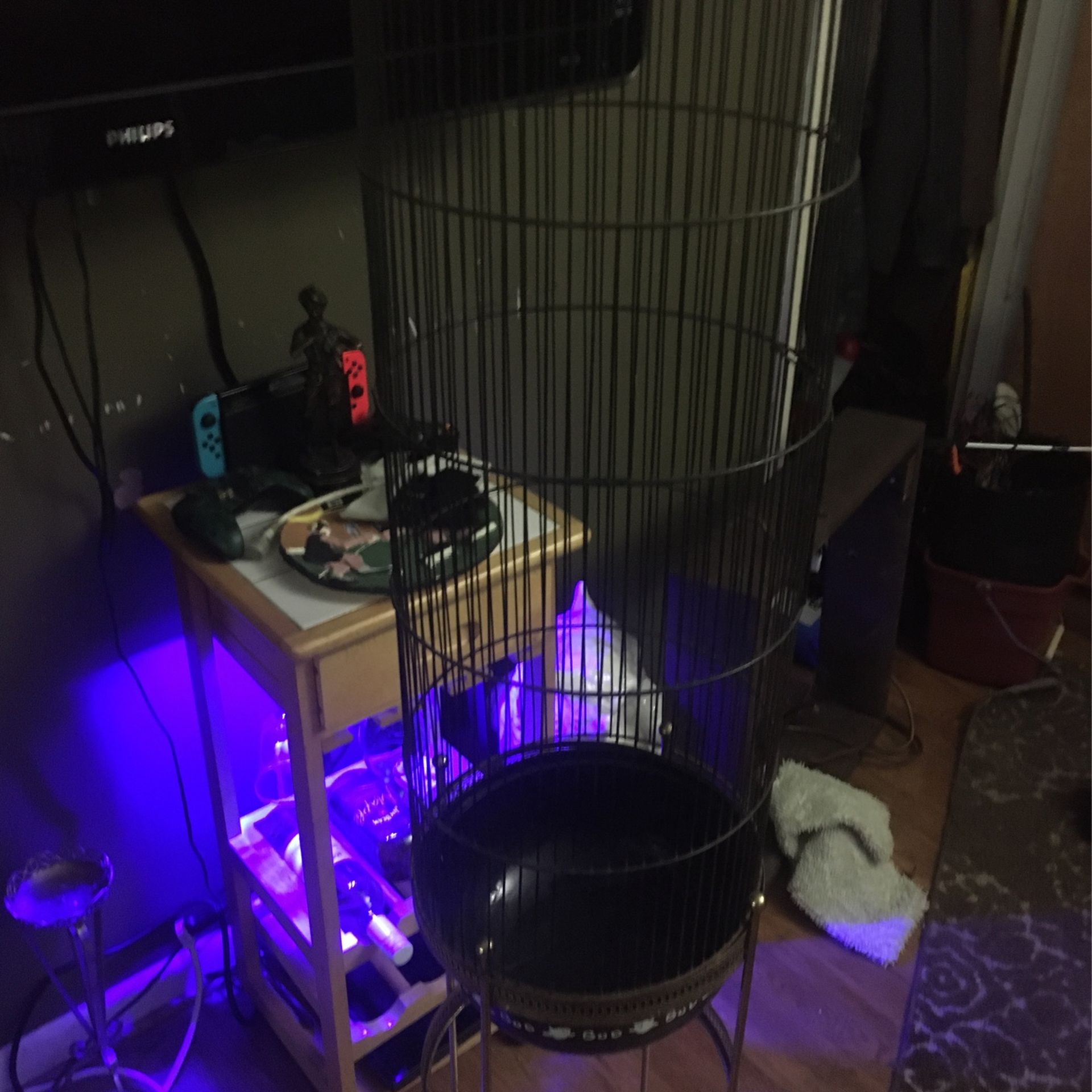 42” Bird Cage 