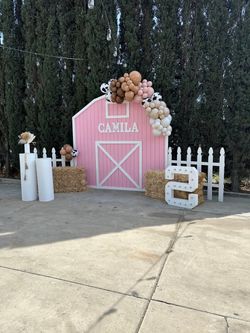 Pink barn yard backdrop