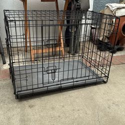 Crêpe For Dog Or Cat