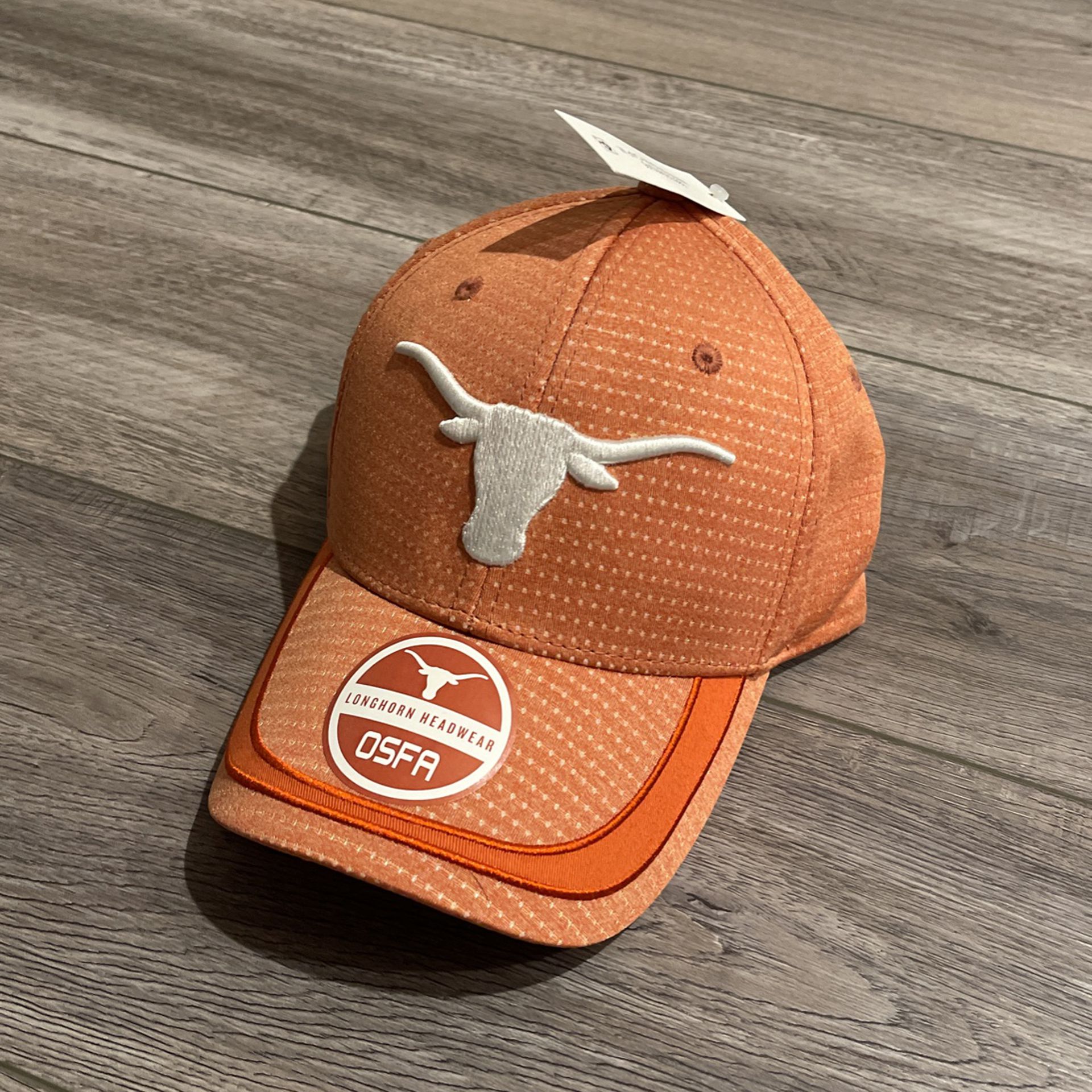 Texas Longhorns Adjustable Hat