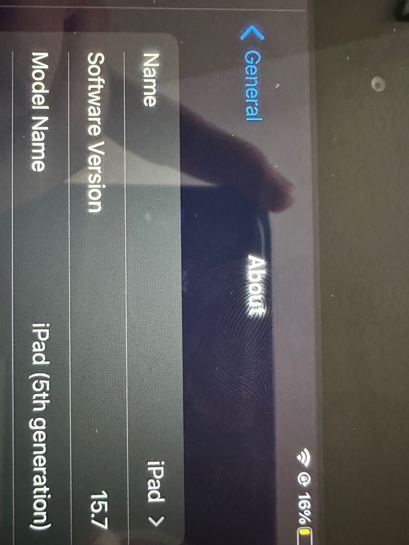 iPad