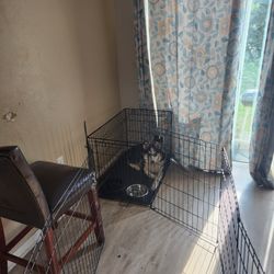 Dog Kennel 