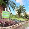 E&S GROVE NURSERY