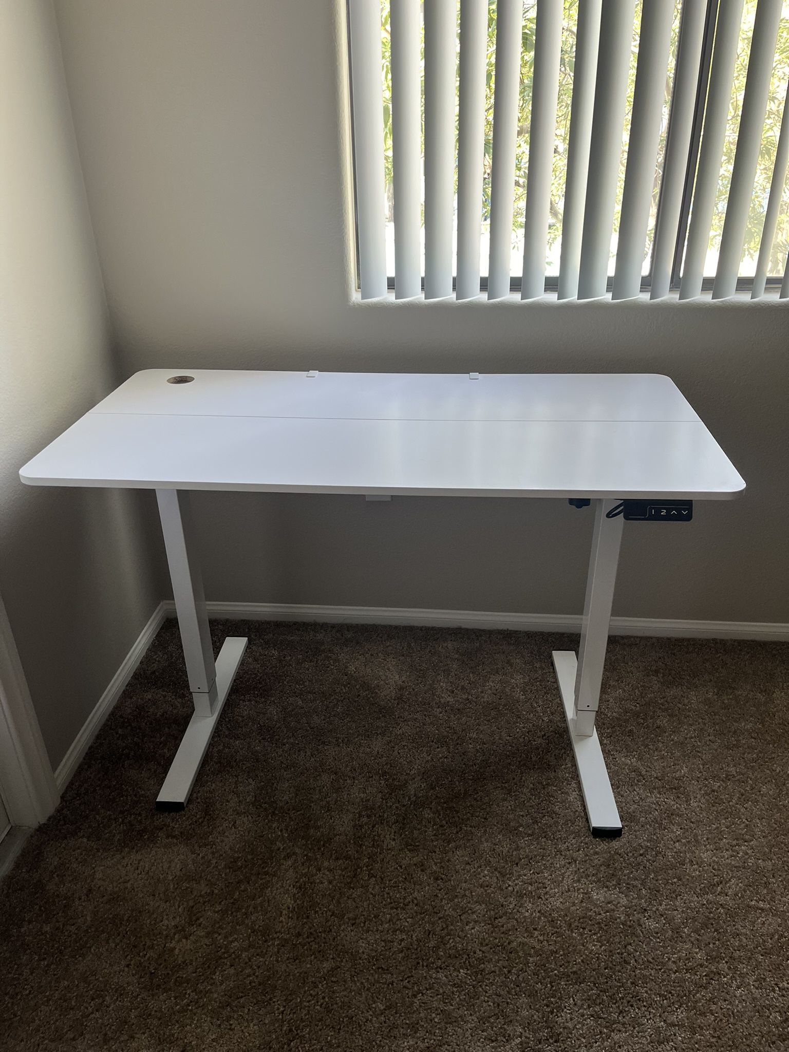 Standing Desk Electric Adjustable Desk Large 48 x 24