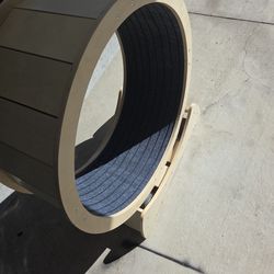 Cat Running Wheel