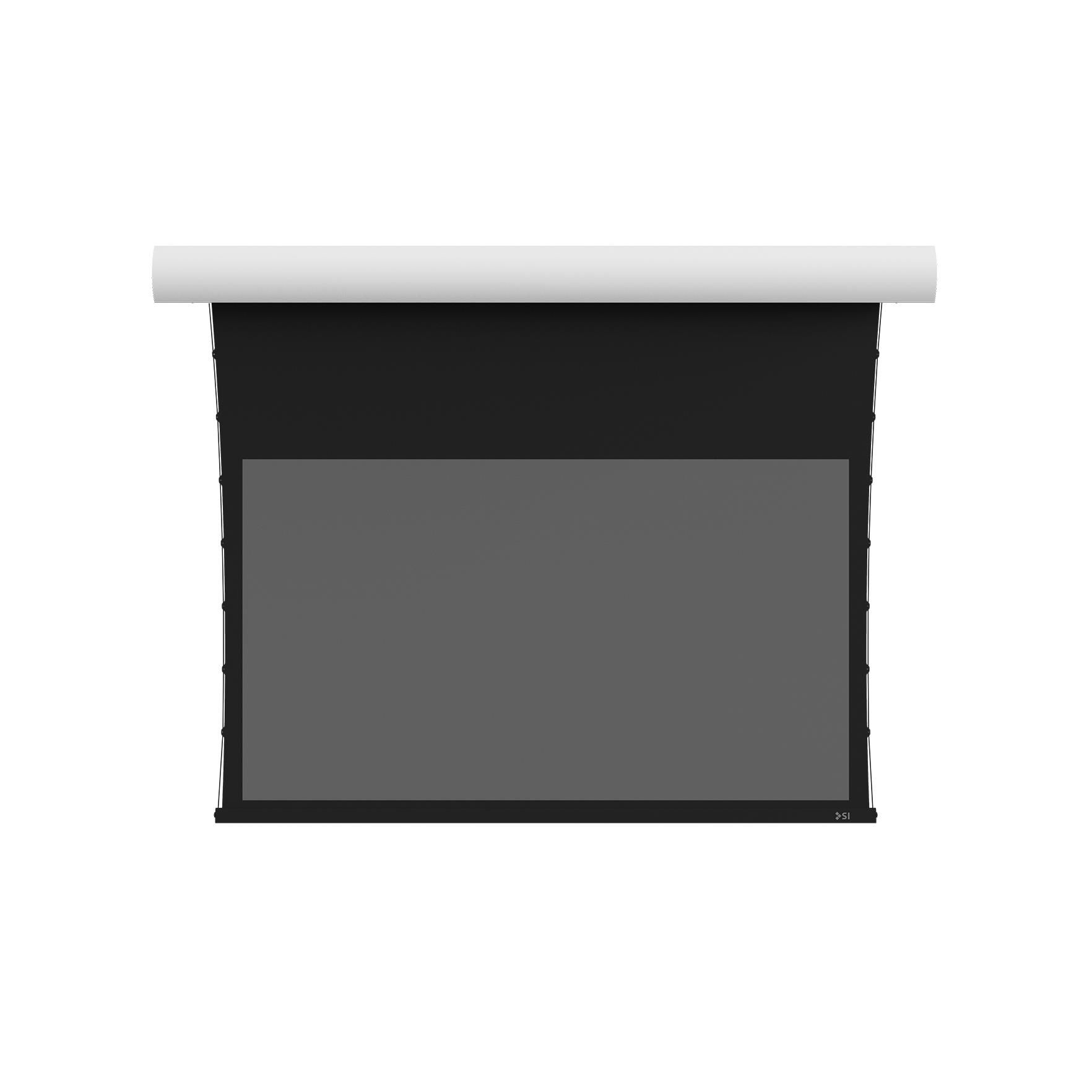 120in Motorized Screen Innovations Projector Screen