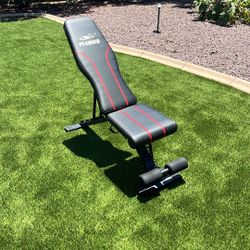 Red And Black Fly bird Dumbbell Bench