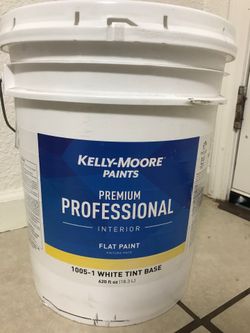 5 gallon paint (interior ) white new