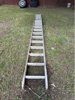 ladder