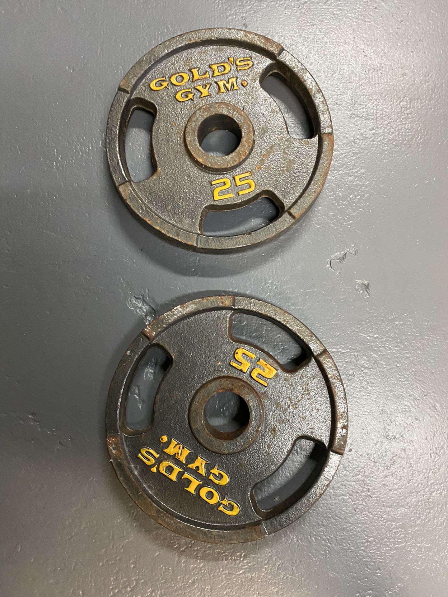 2 Gold's Gym Olympic Grip Weight Plates