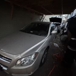 Chevy,Malibu