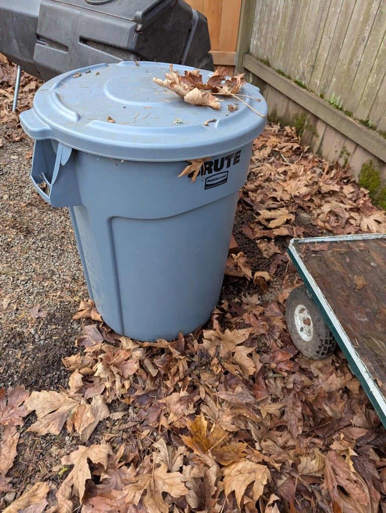 Brute Rubbermaid Trash Can