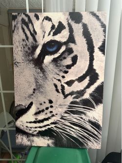Wall art Decor - tiger & cheetah