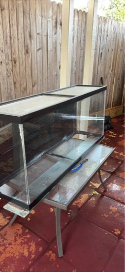 Large Glass Aquarium Fish Tank