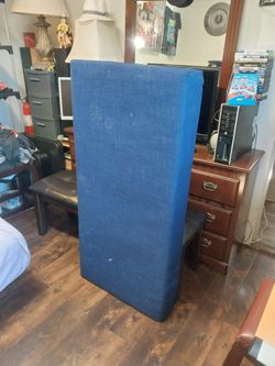 25 × 55 Big Mattress for Pets Big Dogs 🐕 or Cats 🐈
