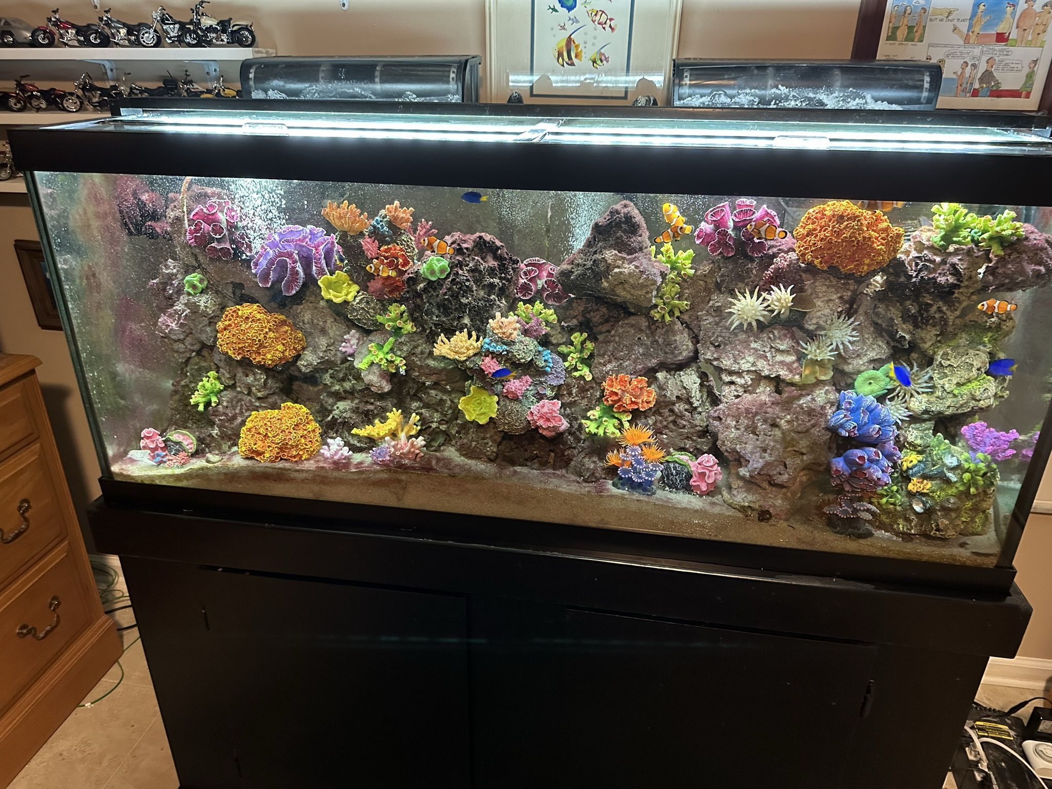 Saltwater Aquarium 75 Gal.