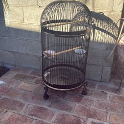 Bird Cage