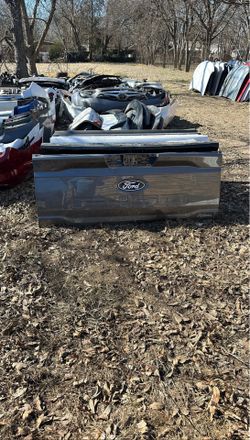 2021-25 Ford F150 Tailgate