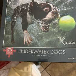 Underwater Dog