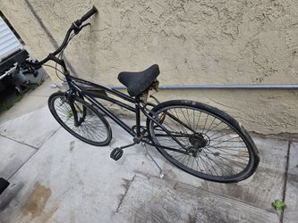 Adult Bike