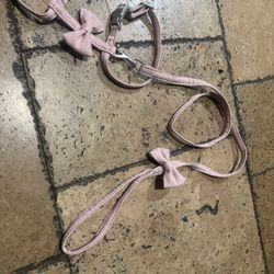 Cat Collar