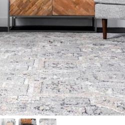 🥬🥬R11#7 ($45) nuLOOM Essa Vintage
Light Gray 4 ft. x 6 ft. Area Rug🥬🥬