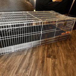 Guinea Pig Cage