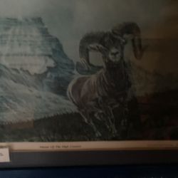 Evel Knievel Art Print Master Of Th E High Country Signed And Dated  28 Of 1000 1978