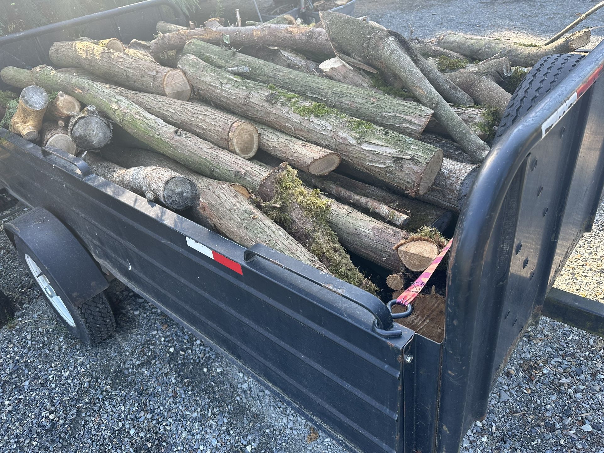 Free Wood! Some Seasoned!