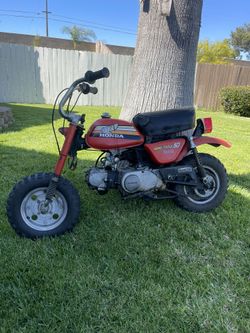 1978 honda mini trail 50 for sale hotsell