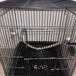 Bird Cage