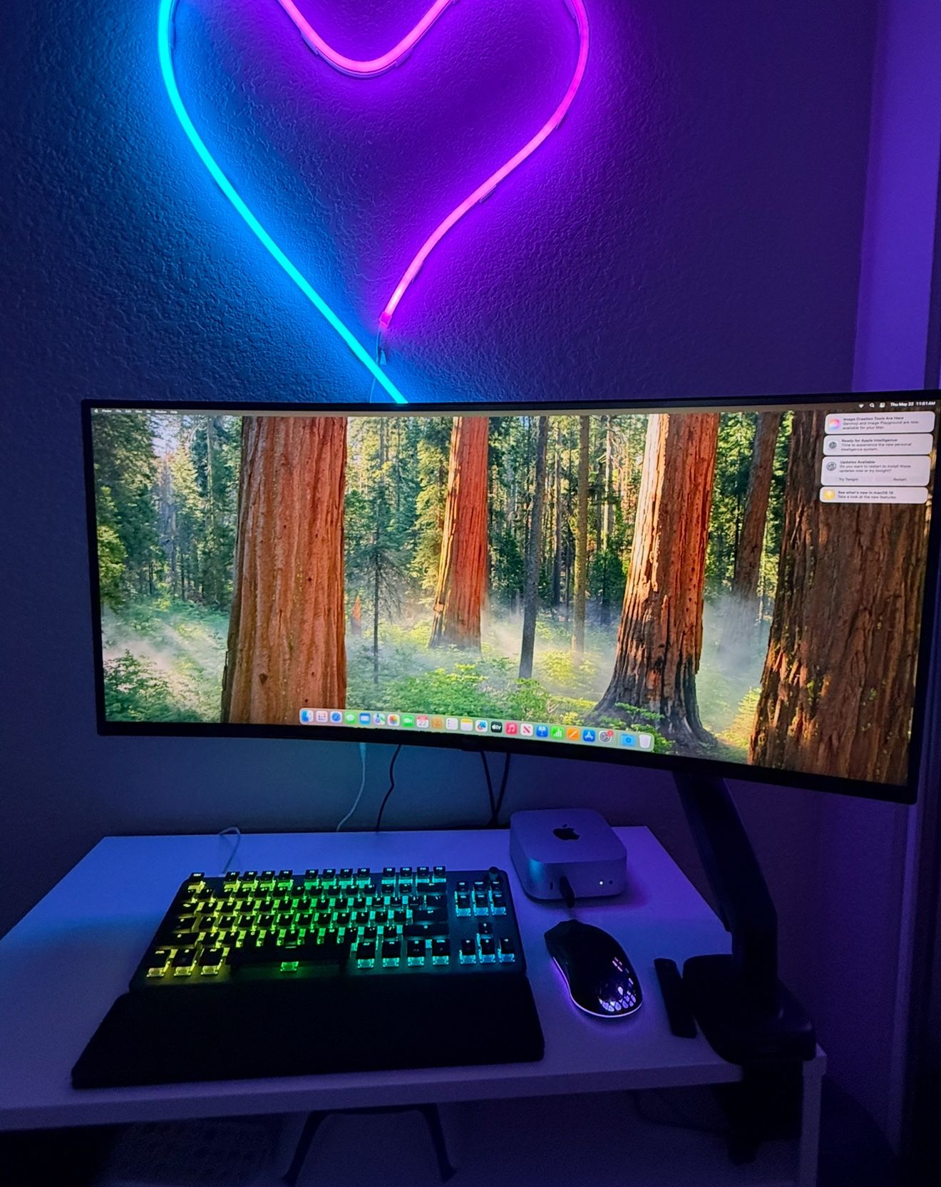 Computer Setup W Mini Mac/ Lg Smart Monitor 