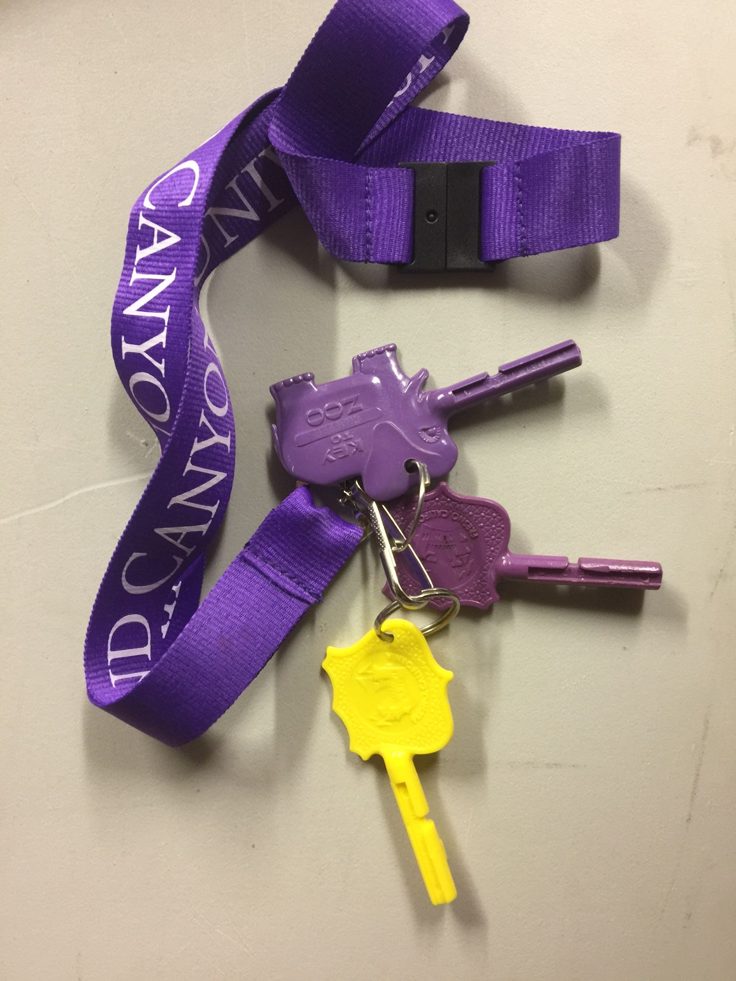 $5 two StoryLand Fresno Keys and one Fresno Chaffee Zoo Key all for $5 These Keys are usually sold at the entrance for $5 each