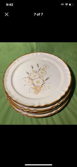 4 🌼 Daisy/Wheat Stoneware Japan Nice Dinner Plates 1970’s 
