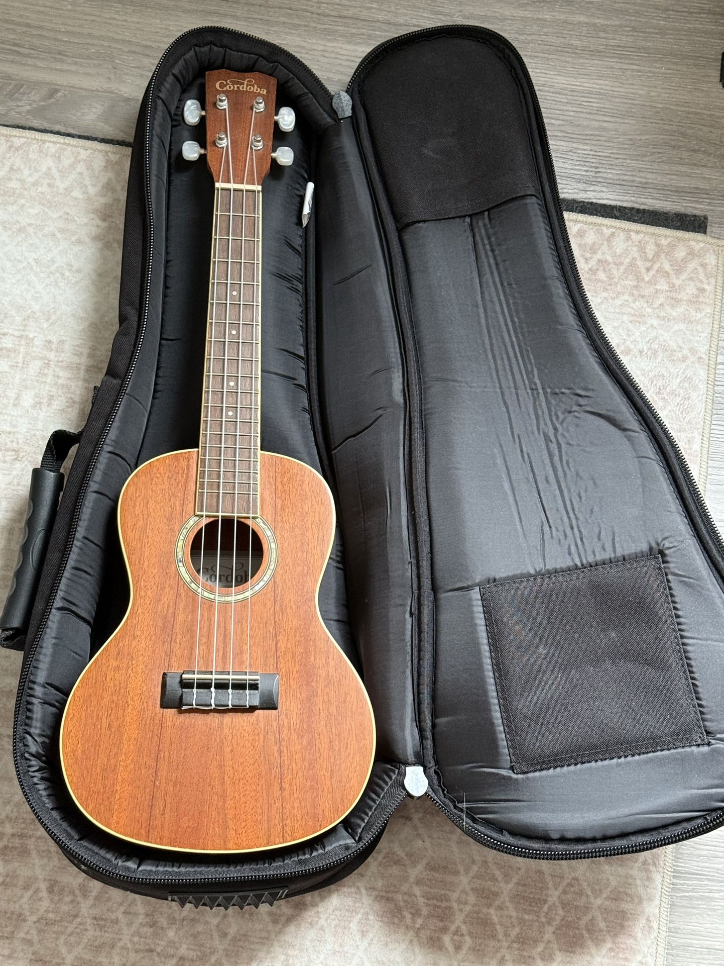 Cordoba Ukelele - Great Condition!