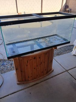 Real Clean 80 Gallon Fish Tank