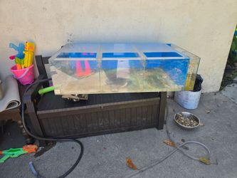 Fish Tank Supplies
