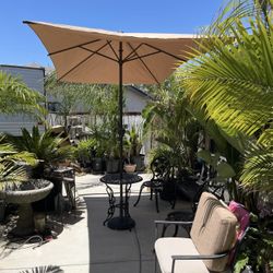 Rectangular Umbrella 