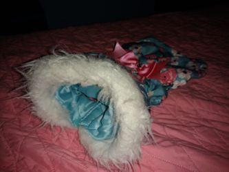 Gently Used Small Dog Coat