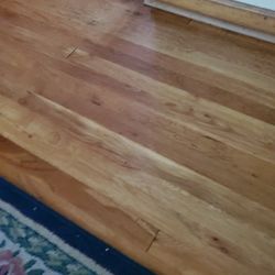 Candle And Candle Votives All New  Free